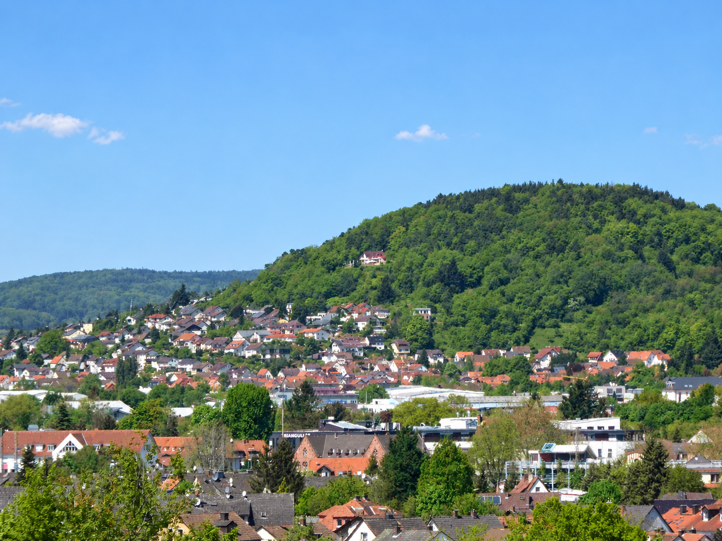 Grüne Wälder blauer Himmel