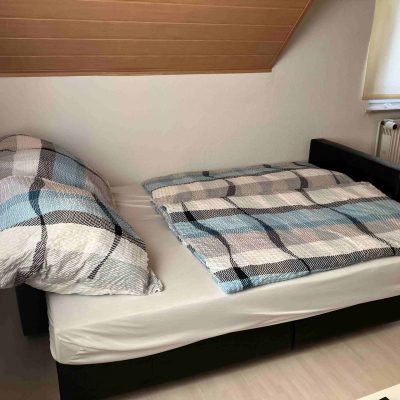 Schlafcouch in der Ferienwohnung Herzbergblick