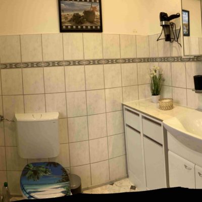 Badezimmer mit Badewanne und Dusche