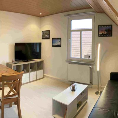 Wohnzimmer mit Schlafcouch in der Ferienwohnung Herzbergblick