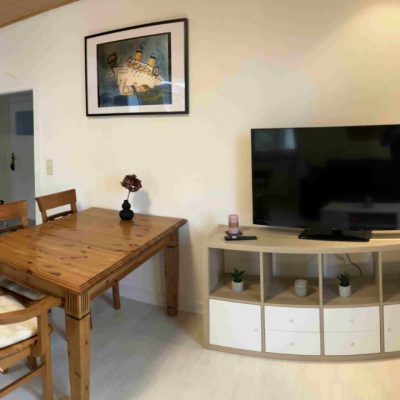 Wohnzimmer mit Schlafcouch in der Ferienwohnung Herzbergblick